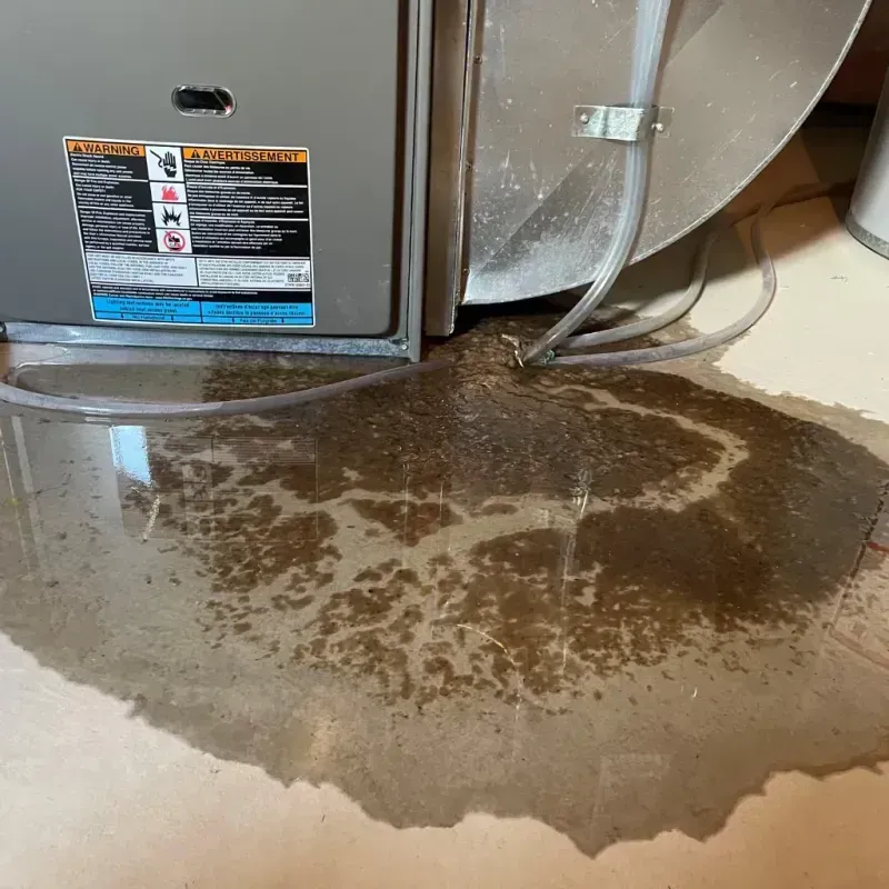 Appliance Leak Cleanup in De Witt, AR